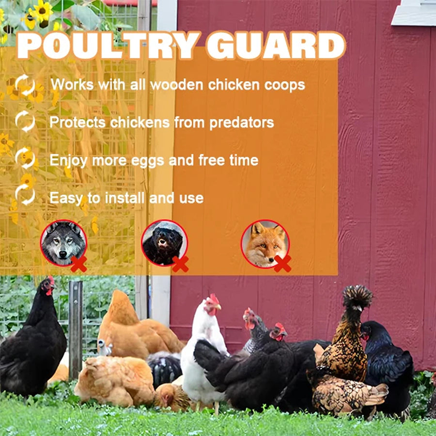 CochiKix Automatic Chicken Coop Door - Predator-Proof Aluminum Door with Anti-Pinch Safety System for Chickens, Ducks, and Geese