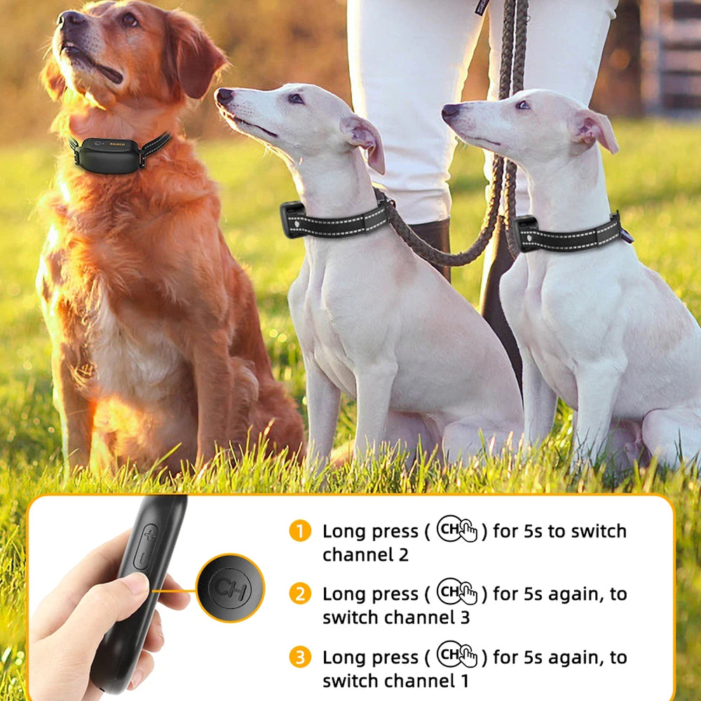 ColixDogi Dog Training Collar 3300ft Range IPX7 Waterproof Rechargeable for Dogs 4-120lbs