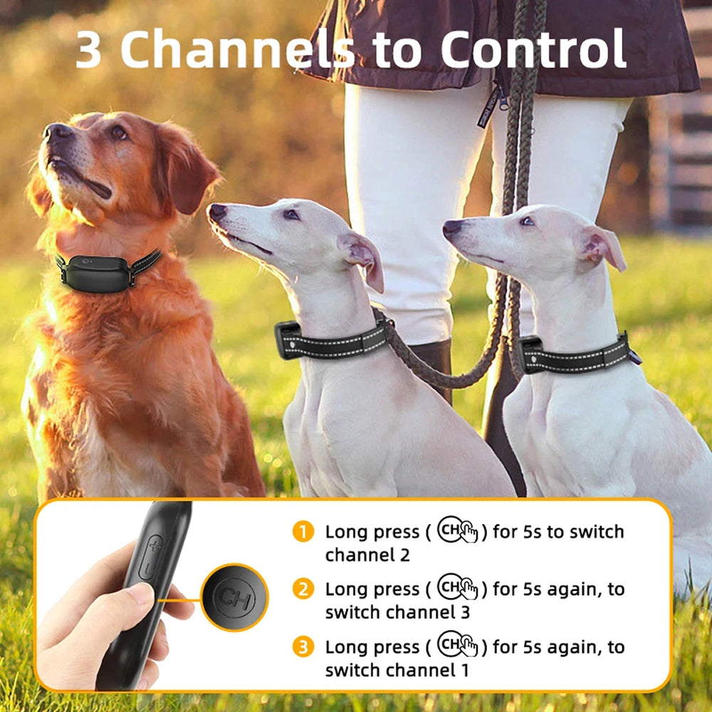 ColixDogi Dog Training Collar 3300ft Range IPX7 Waterproof Rechargeable for Dogs 4-120lbs