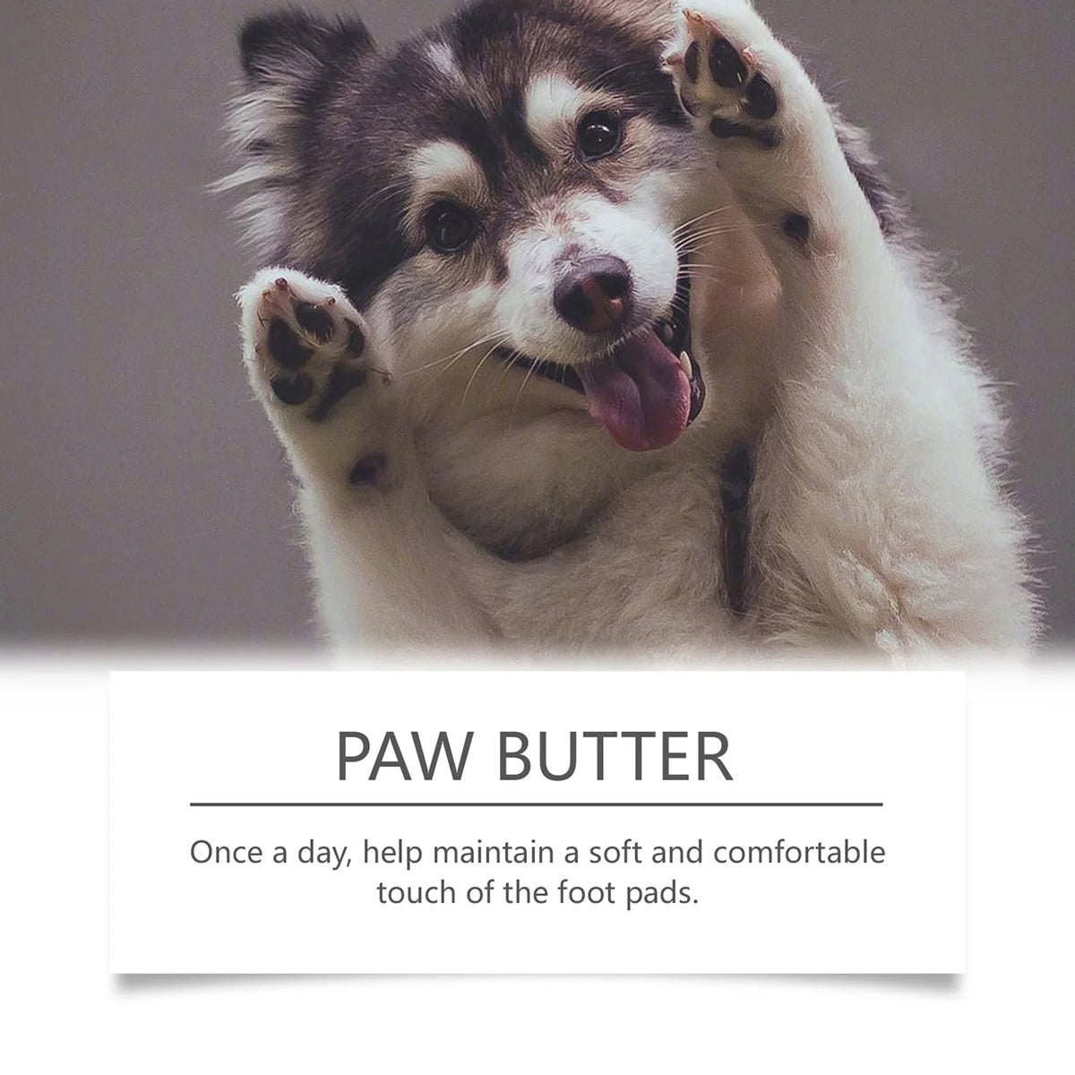 DeaEllant Dog Paw Balm All-Natural Organic Moisturizer for Dry Cracked Paws