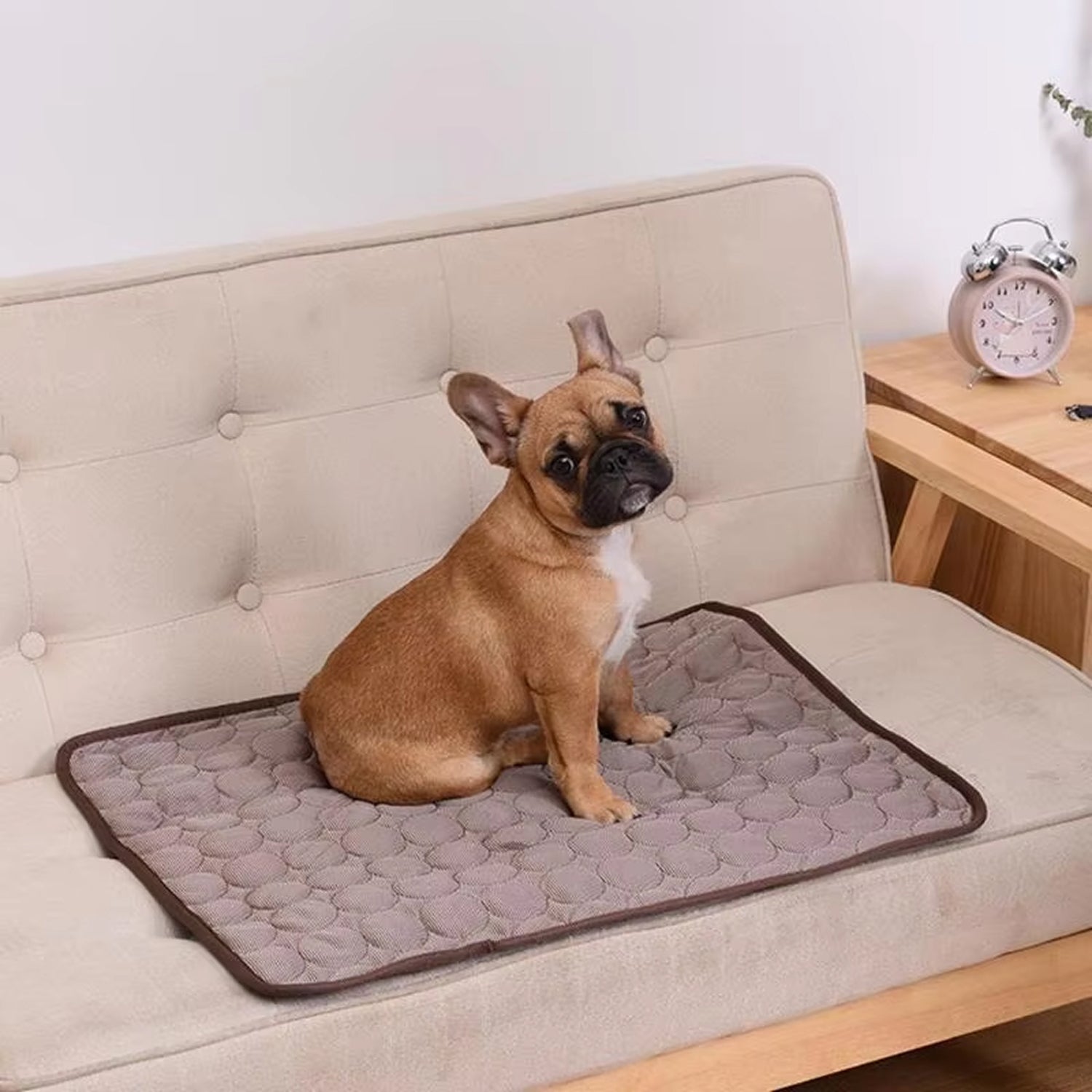 DovixMati Dog Cooling Mat Ice-Silk Technology Washable Pet Pad for Large & Small Breeds