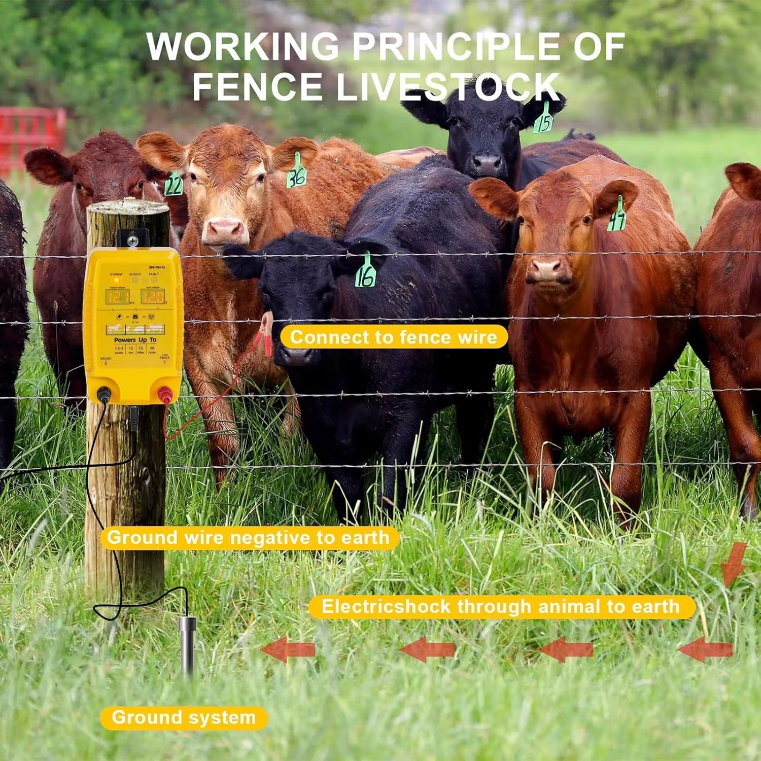 FeciLaxi 12km Electric Fence Energizer - 12.8kV / 3 Joule Output, Solar/Battery/AC Triple Power, Digital Voltage Display, Waterproof Fence Charger for 60-Acre Livestock