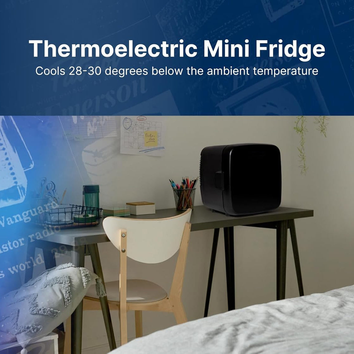 FritiAxin Mini Fridge 8L 12 Can Portable Thermoelectric AC DC Cooler