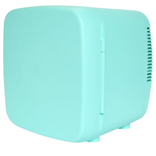 FritiAxin Mini Fridge 8L 12 Can Portable Thermoelectric AC DC Cooler