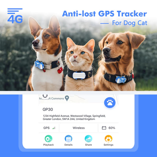 GeoPapup
