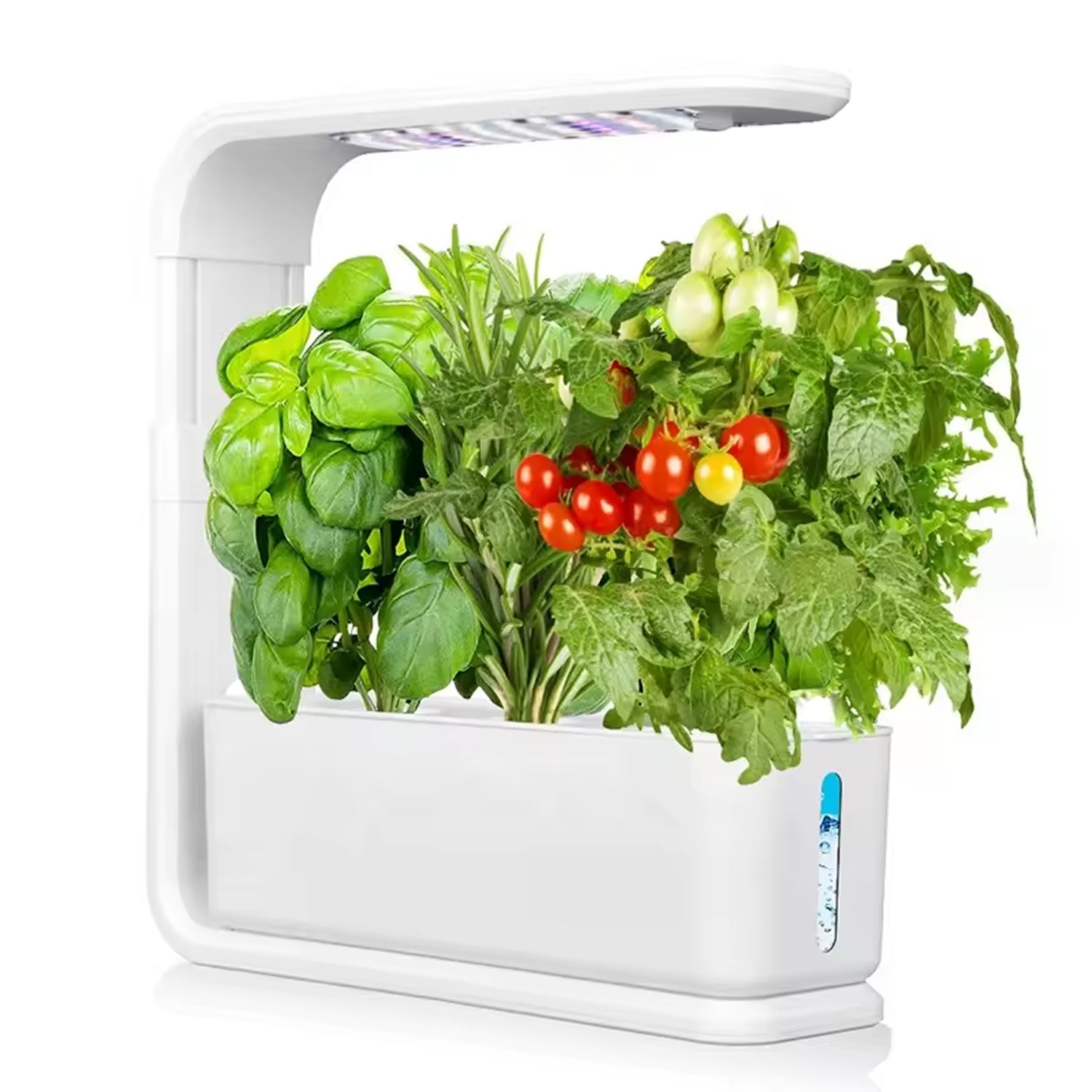 GreenKixa Indoor Hydroponic Garden - 15W Full Spectrum LED Grow Light, Silent Pump System with Adjustable Height for Herbs