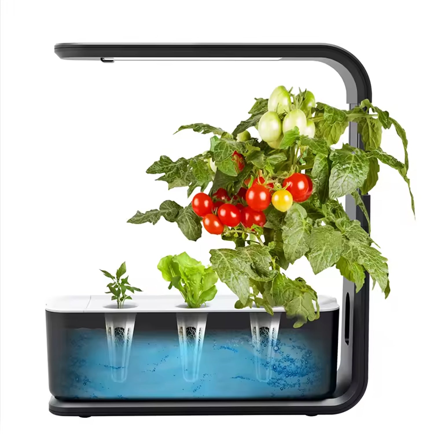 GreenKixa Indoor Hydroponic Garden - 15W Full Spectrum LED Grow Light, Silent Pump System with Adjustable Height for Herbs