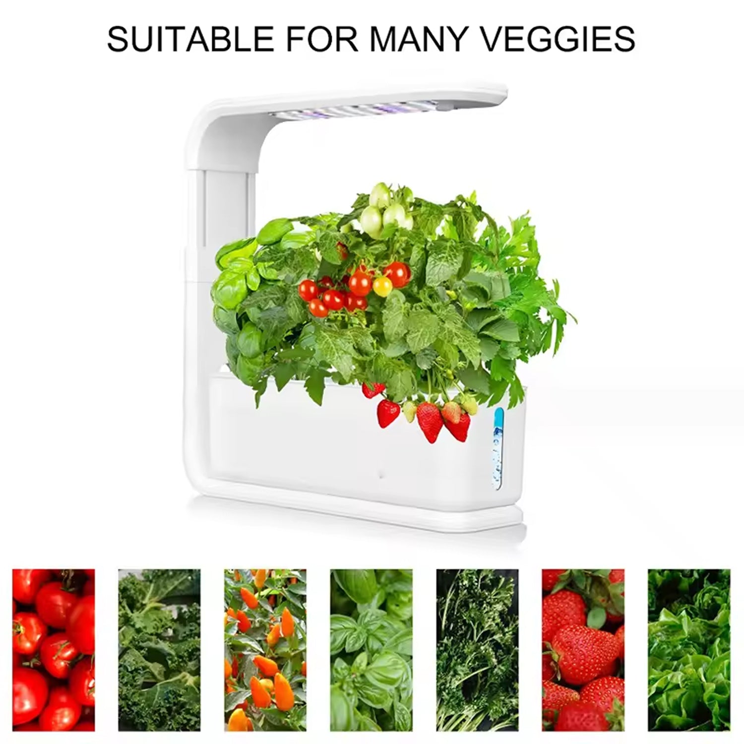GreenKixa Indoor Hydroponic Garden - 15W Full Spectrum LED Grow Light, Silent Pump System with Adjustable Height for Herbs