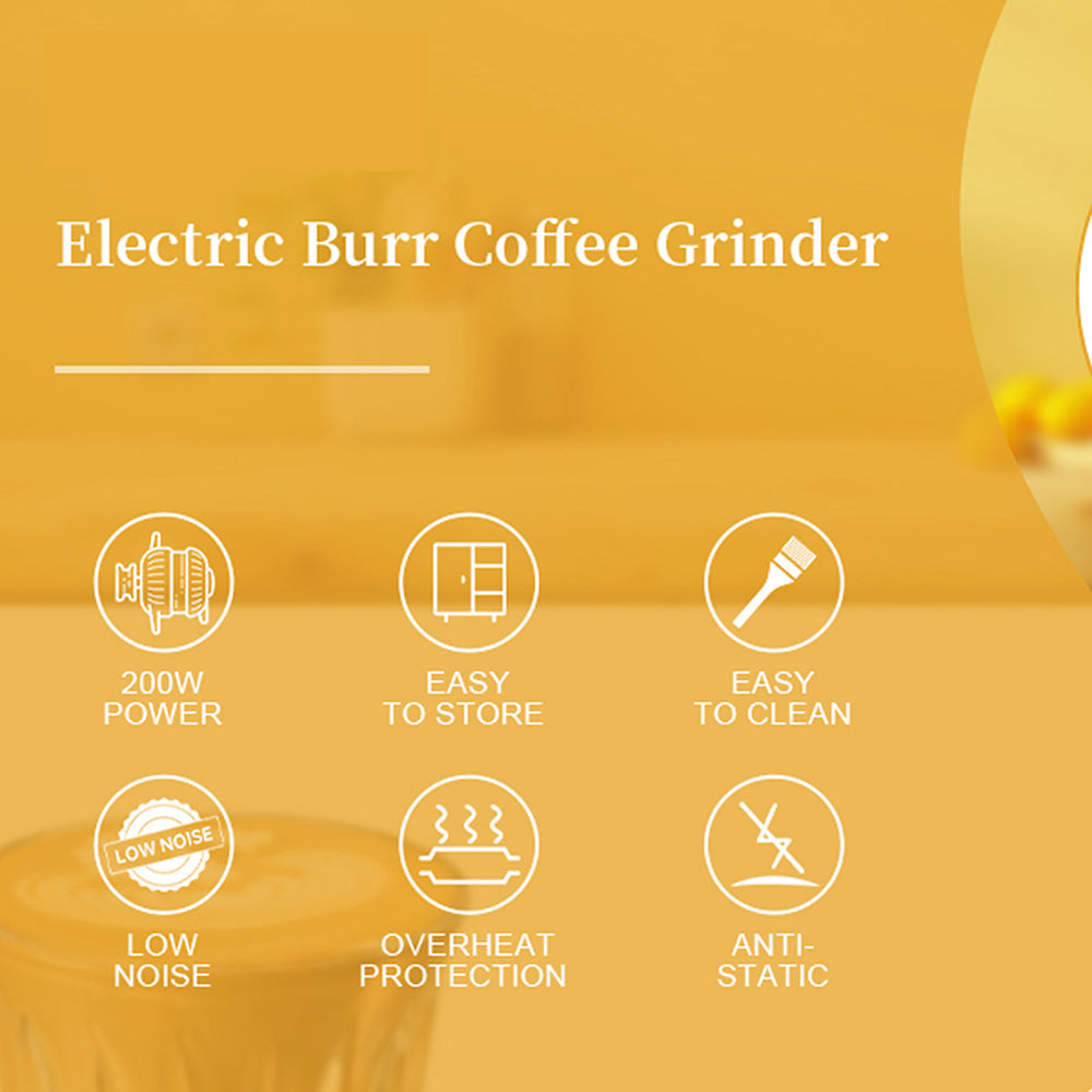 GrixFeni Precision Burr Coffee Grinder with 28 Grind Settings, Anti-Static Technology and 2–12 Cup Adjustable Capacity