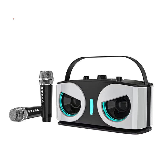 PocketMuzi Portable Karaoke Machine Dual 10W Bluetooth 5.3 Speaker with 2 Mics