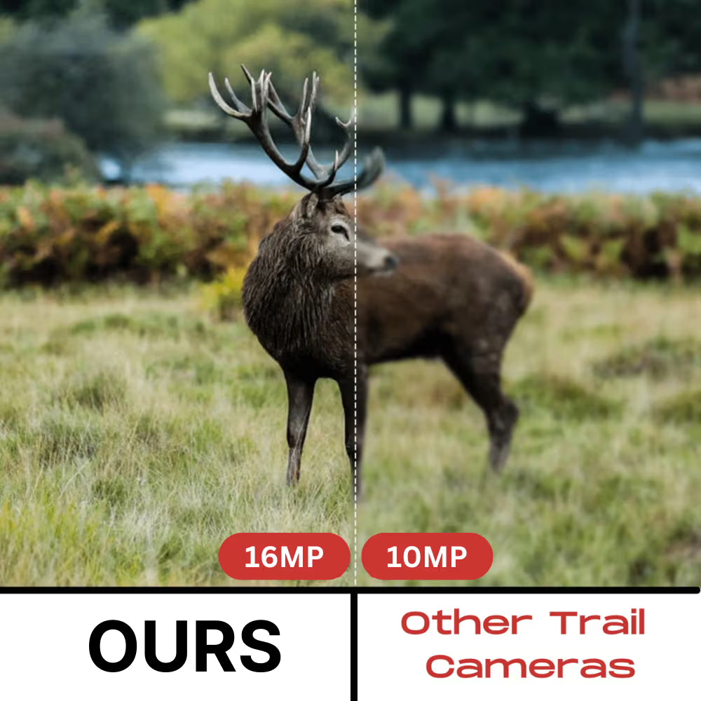 ScoxeCam 16MP Trail Camera 940nm No-Glow Stealth IR 0.2s Trigger IP66 Waterproof